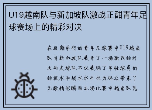 U19越南队与新加坡队激战正酣青年足球赛场上的精彩对决