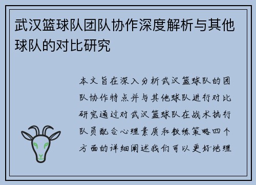武汉篮球队团队协作深度解析与其他球队的对比研究